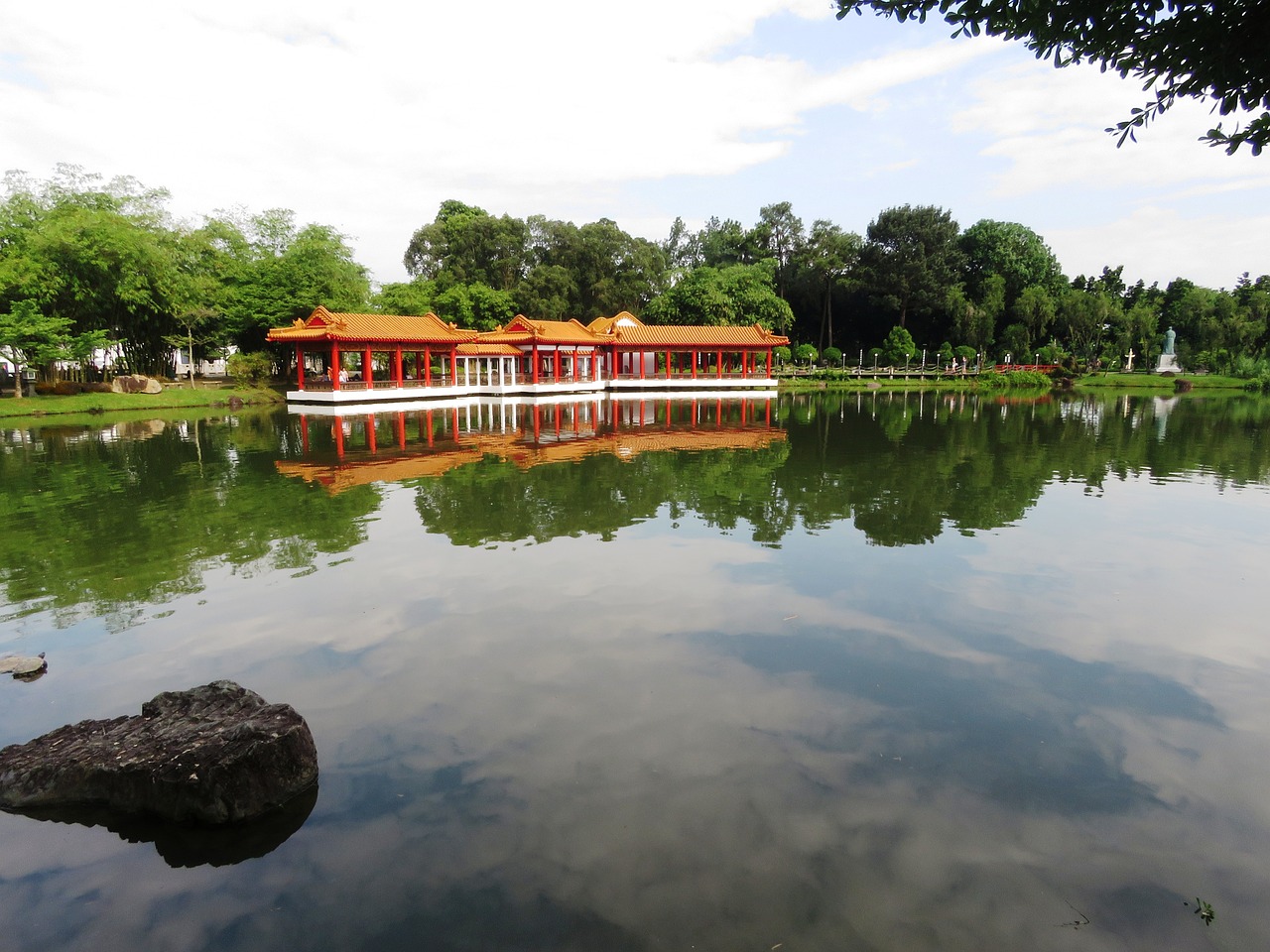 惠州哪里有賣魚缸的地方啊圖片（惠州賣觀賞魚批發(fā)市場） 觀賞魚批發(fā) 第3張