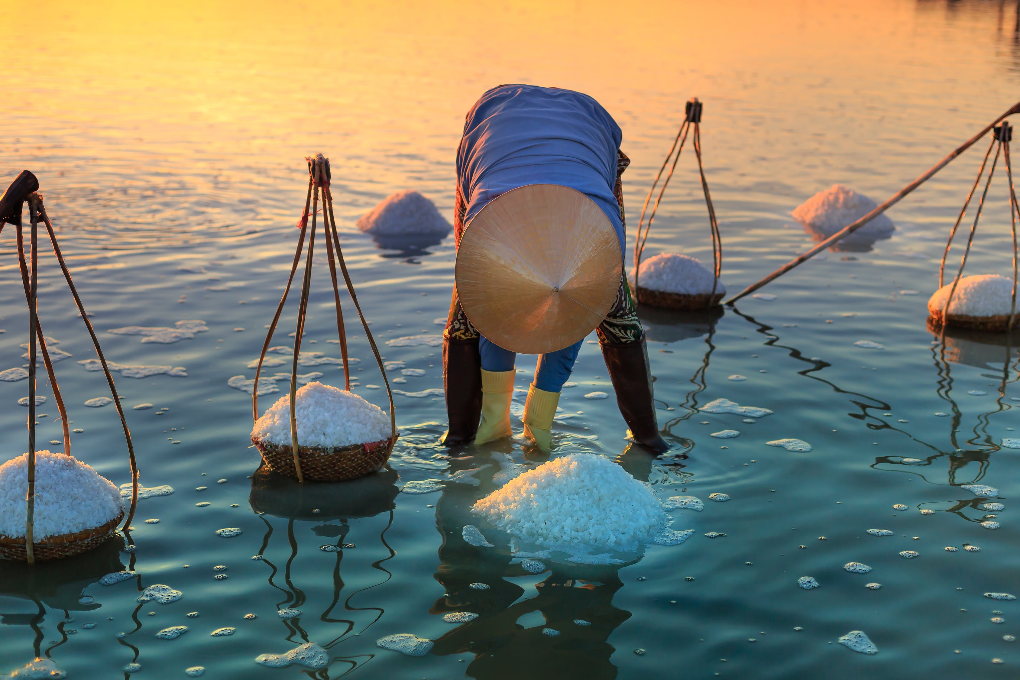 魚(yú)缸養(yǎng)魚(yú)數(shù)量清潔工算不算（魚(yú)缸養(yǎng)魚(yú)清潔工算魚(yú)數(shù)目嗎） 短身紅龍魚(yú) 第1張