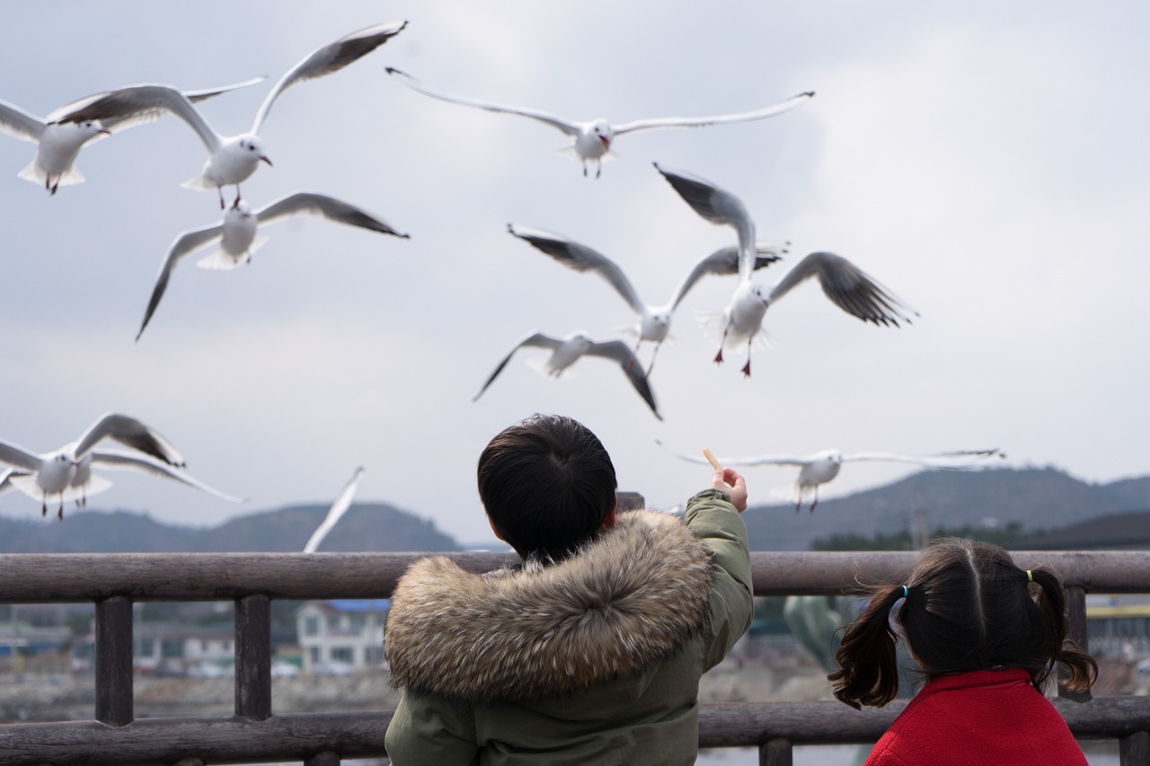 海象的英語怎么寫怎么讀（海象的英語單詞怎么讀） 祥龍魚場 第2張