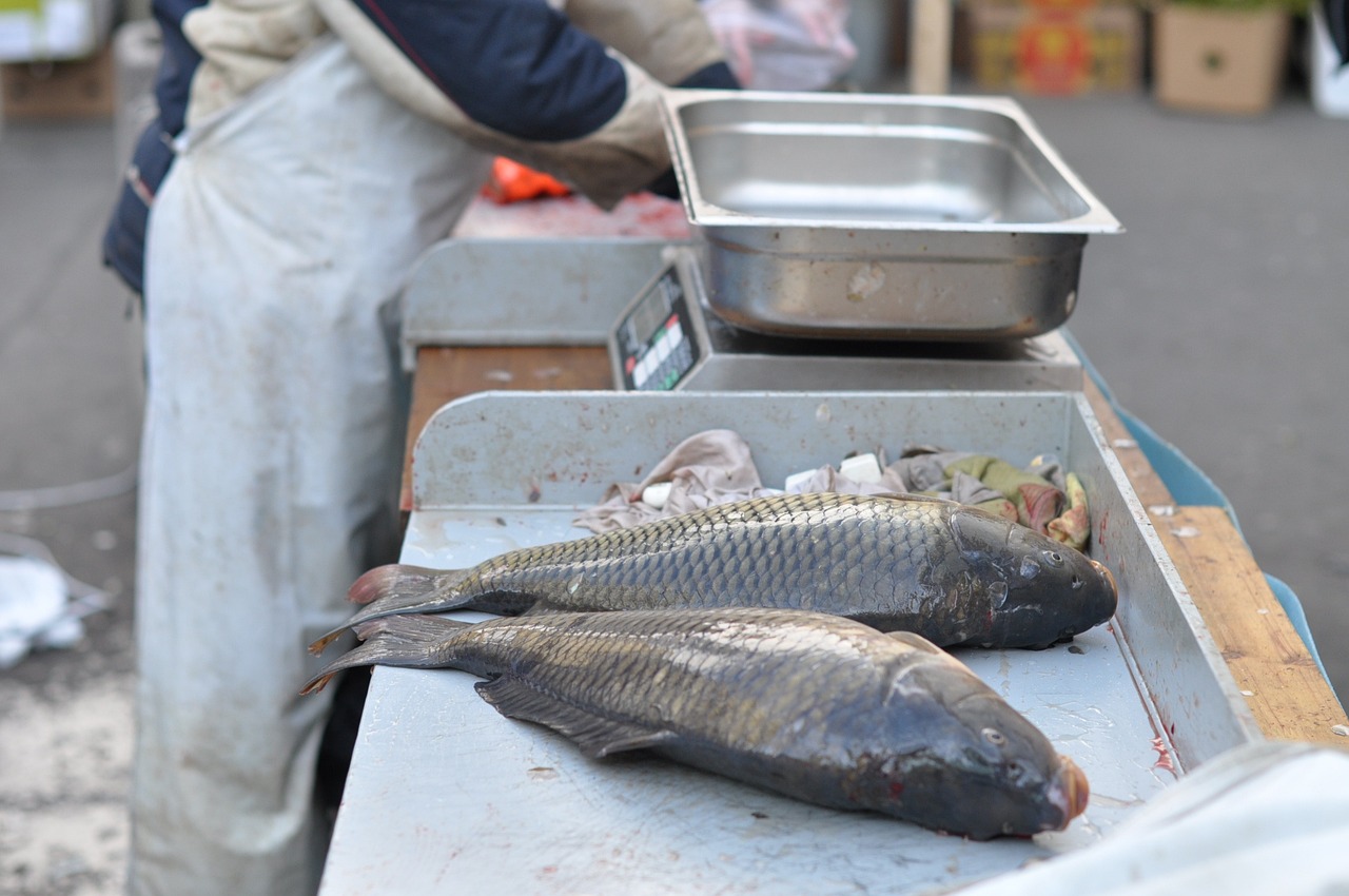 簡筆畫鯉魚的步驟和步驟 水族世界 第3張