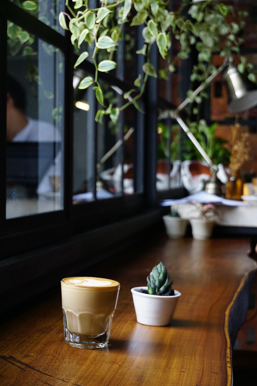 石河子市四季花屋盆景店