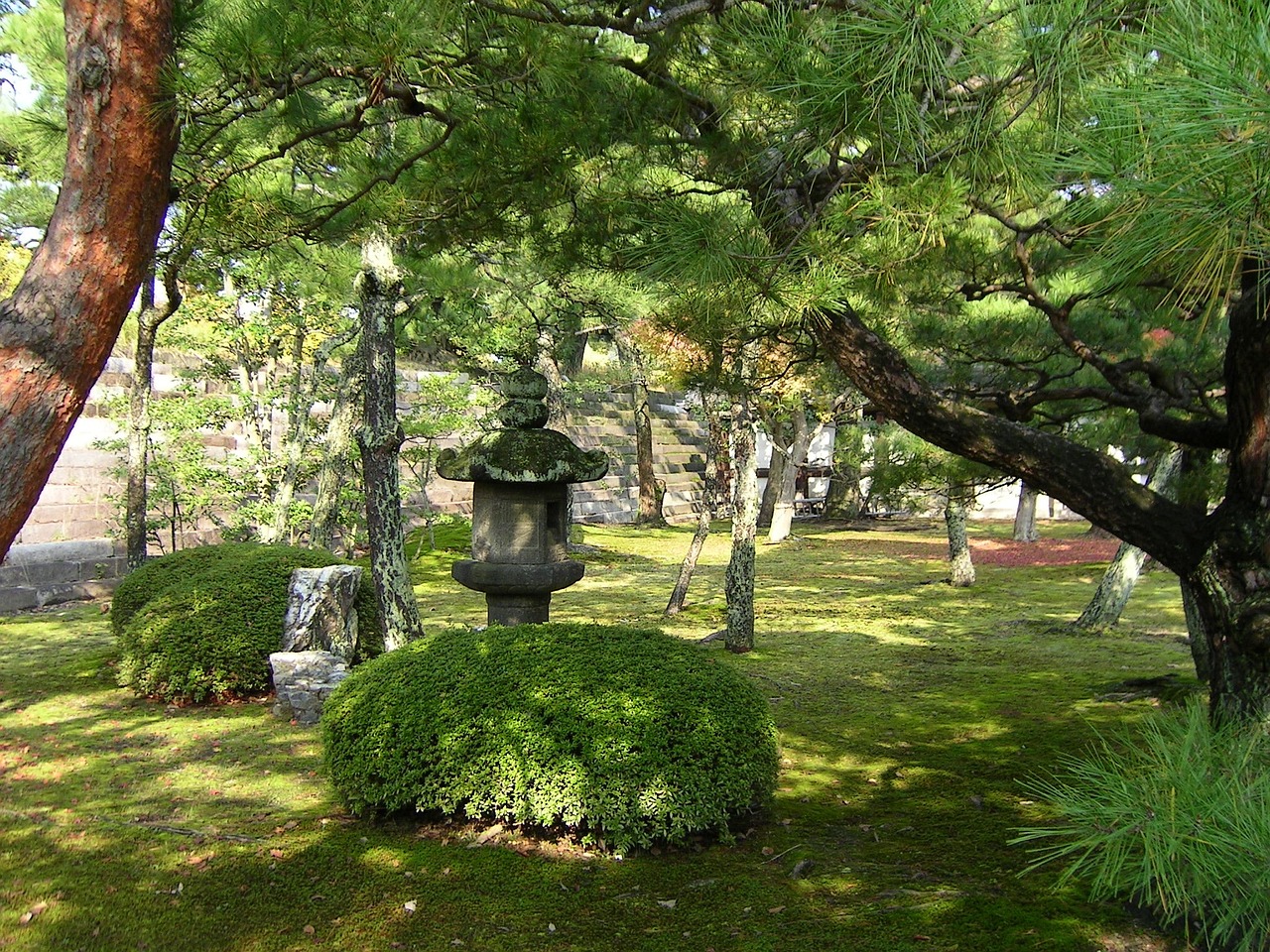 石河子市四季花屋盆景店 全國水族館企業(yè)名錄 第4張