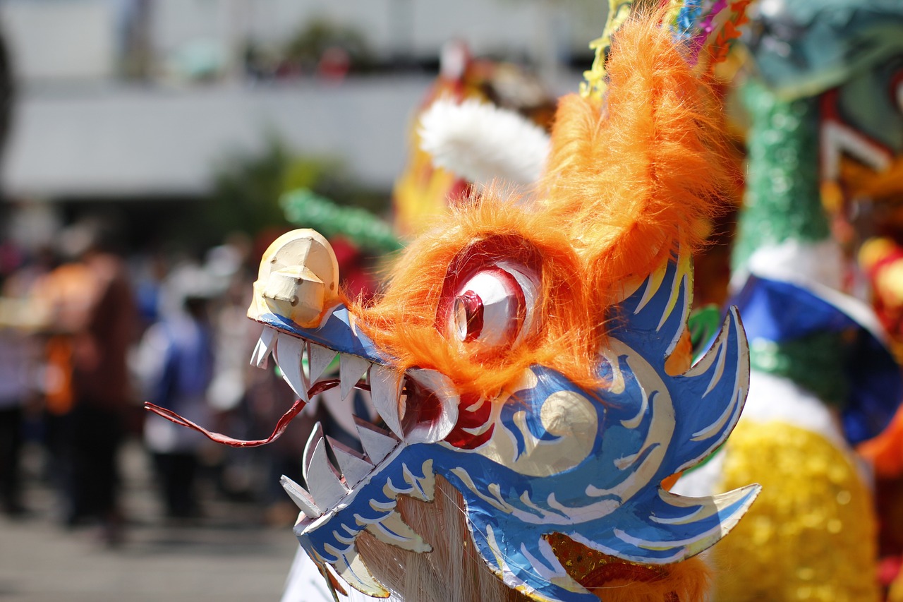 龍魚配什么魚養(yǎng)：龍魚配什么魚養(yǎng)好看