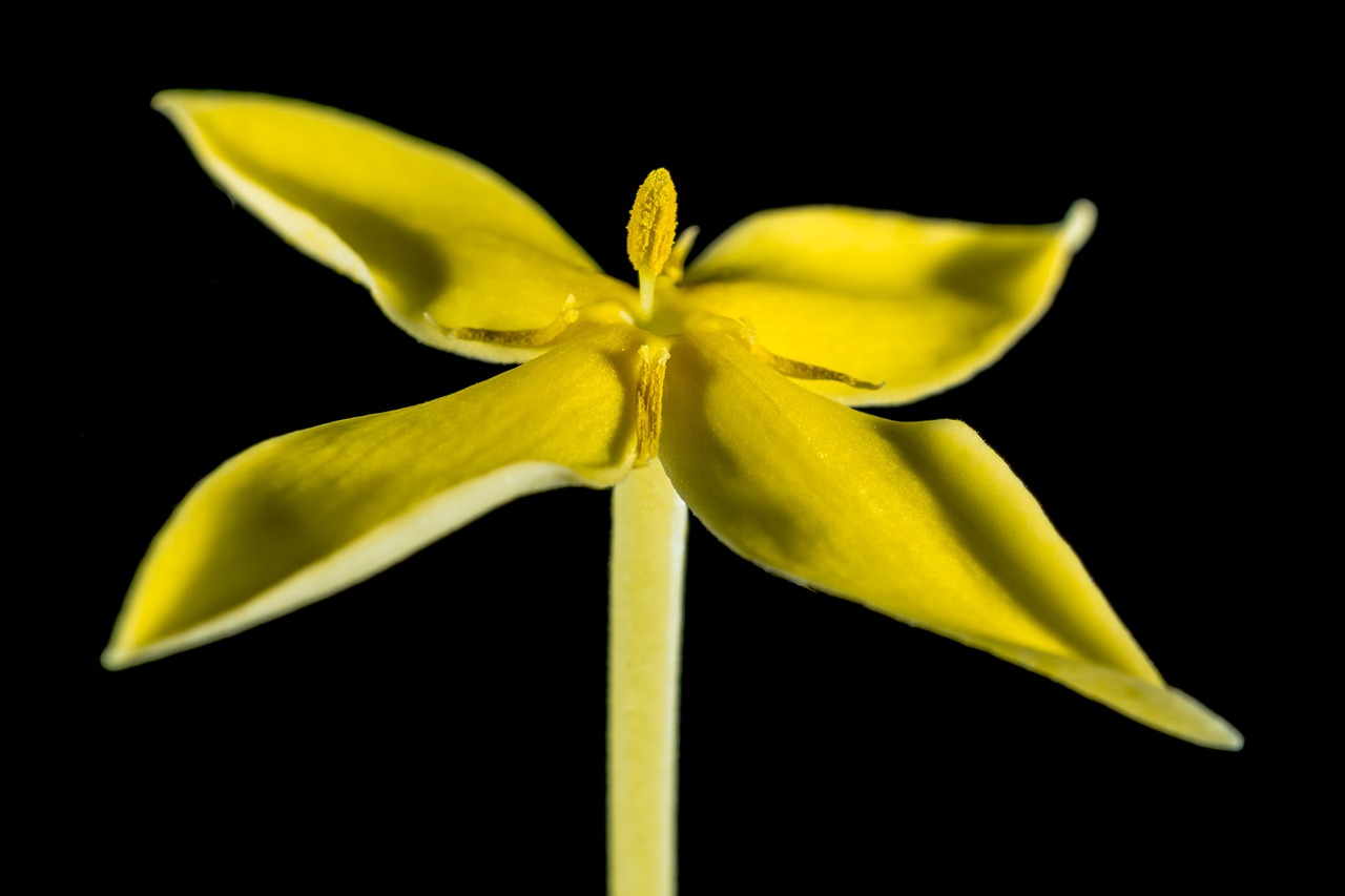 汝陽(yáng)縣時(shí)光顧花藝生活館（汝陽(yáng)縣時(shí)光顧花藝生活館地址）