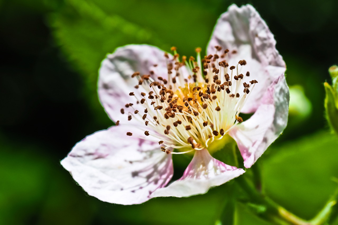 昆明市盤龍區(qū)茗花閣花藝造景店（昆明市盤龍區(qū)茗花閣花藝造景店地址）