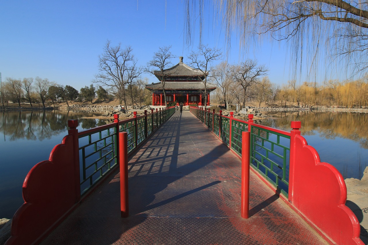 銀龍魚苗水溫多少合適啊冬天養(yǎng)（銀龍魚苗水溫多少合適啊冬天養(yǎng)活）