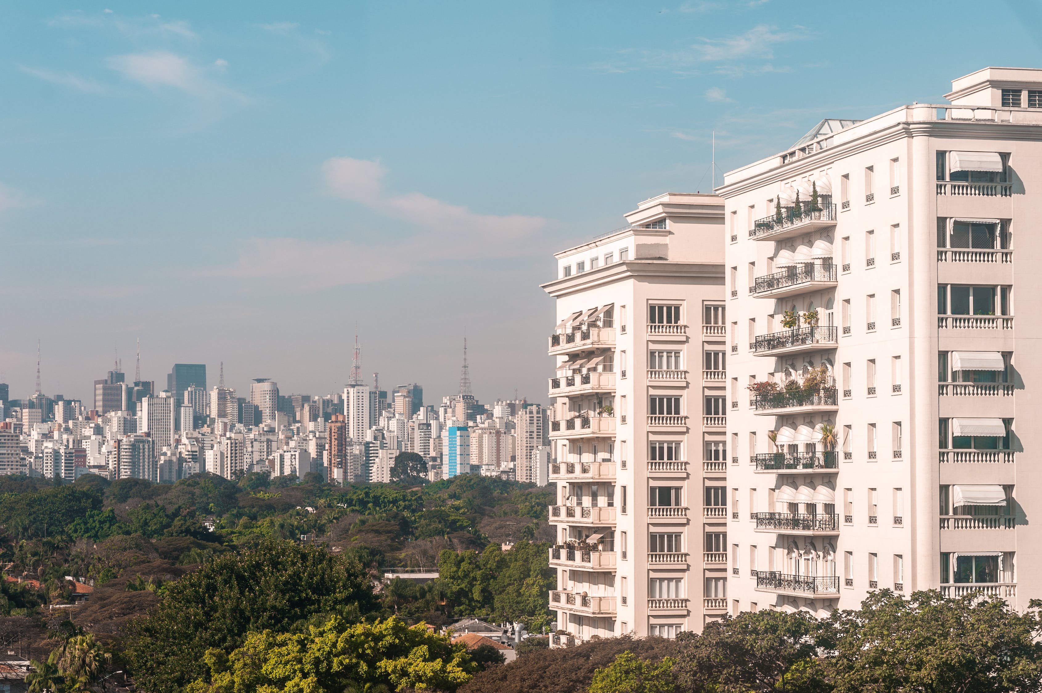 撫州市羊城園林綠化有限公司（撫州市羊城園林綠化有限公司地址）