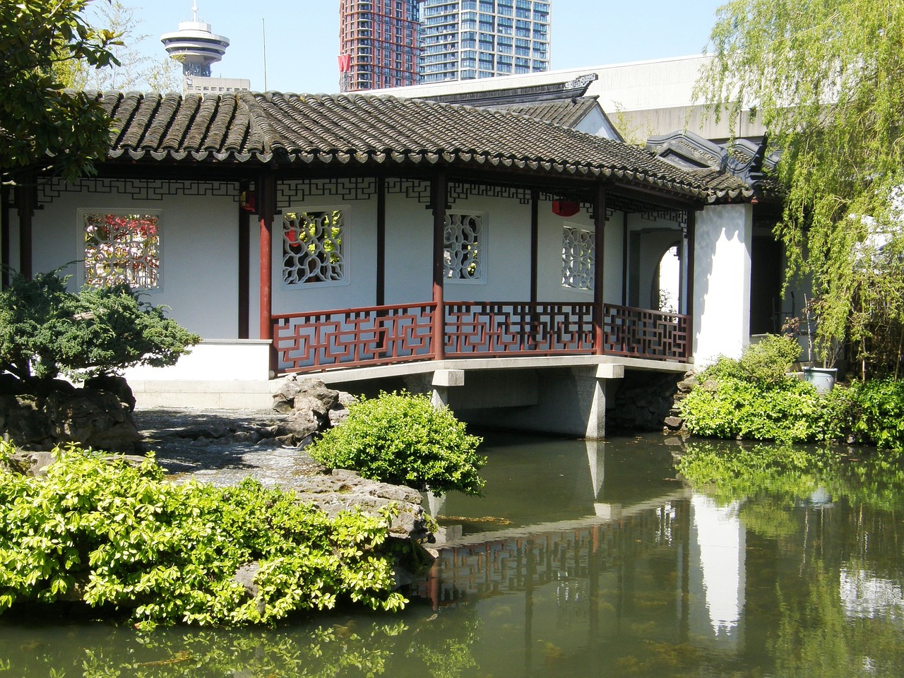 合肥皖晶園藝服務(wù)有限公司（合肥皖晶園藝服務(wù)有限公司怎么樣） 全國(guó)水族館企業(yè)名錄 第3張