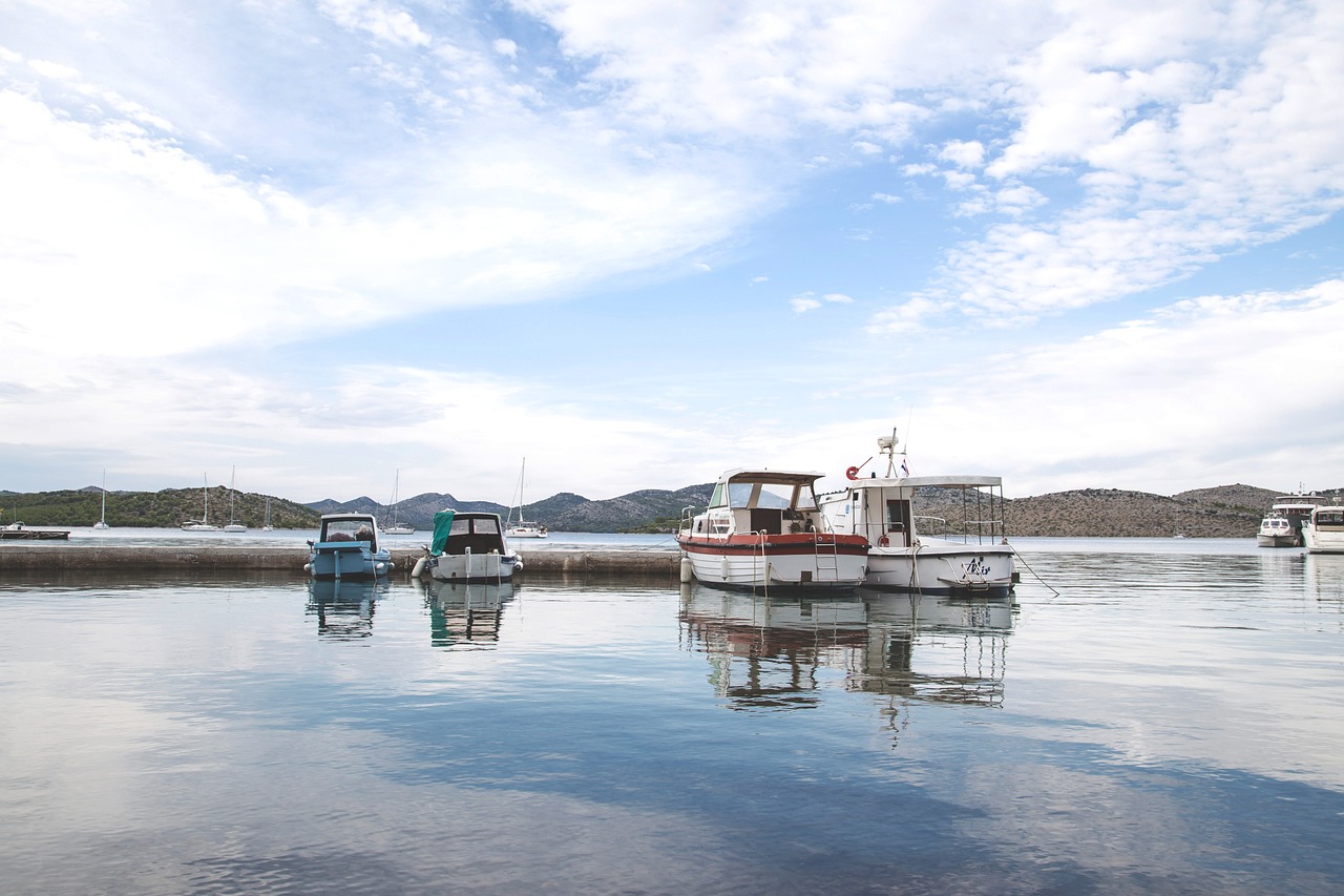 江油市中壩藍(lán)世界觀賞魚店 全國水族館企業(yè)名錄 第4張