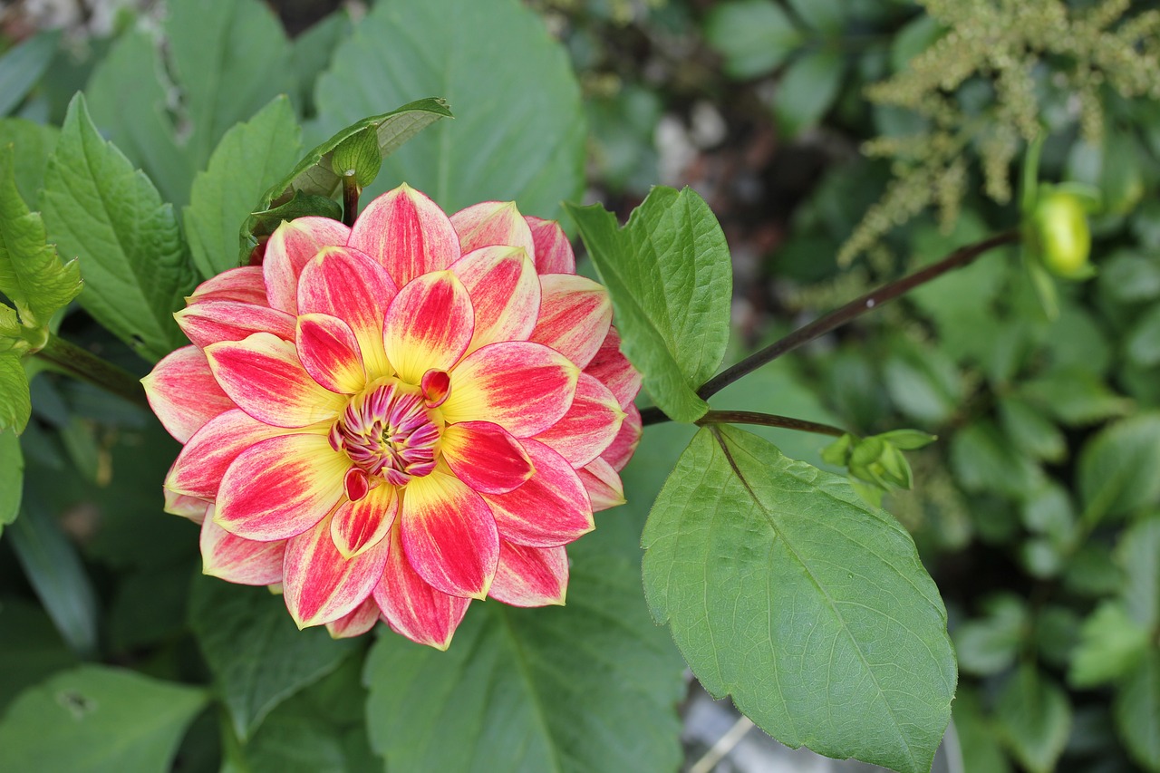 肥西縣桃花鎮(zhèn)雯洋花坊