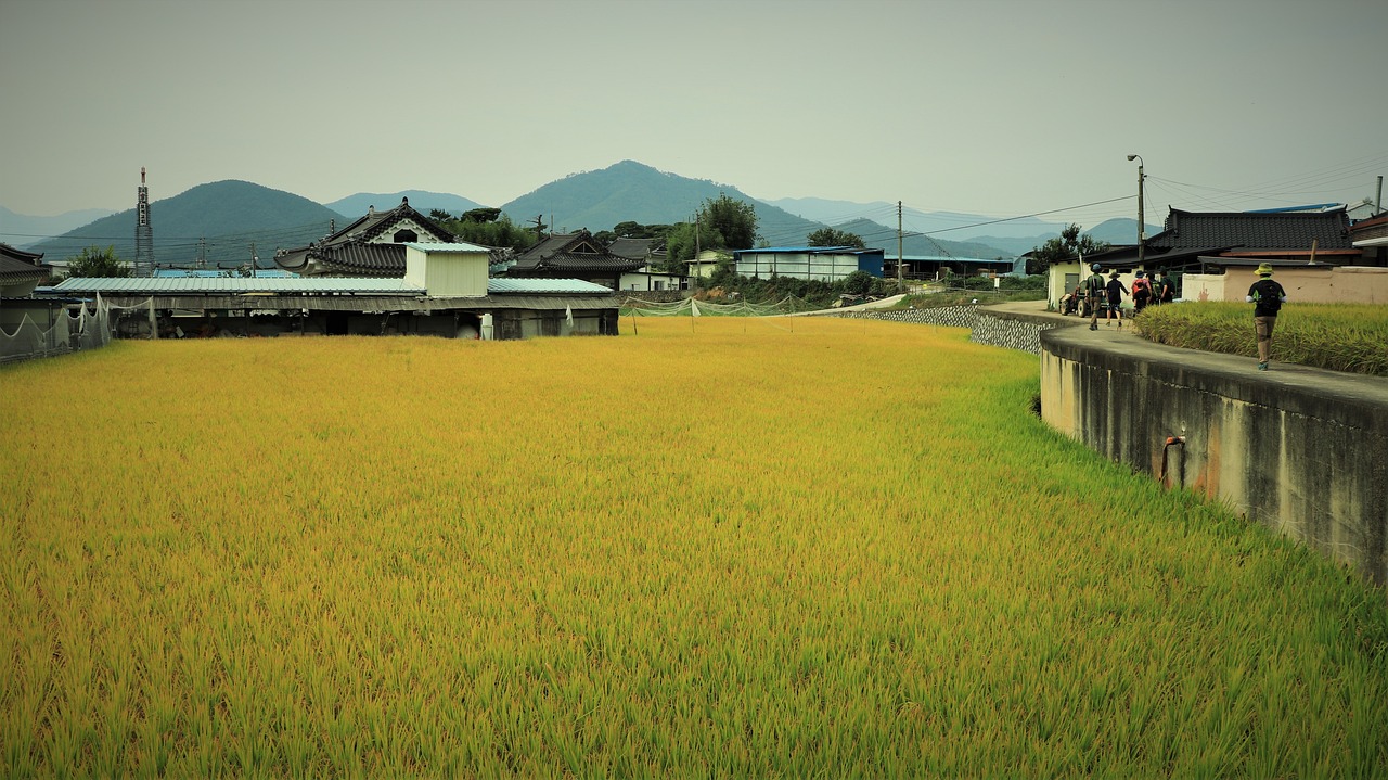 哈爾濱市松北區(qū)佰君種植園（哈爾濱市松北區(qū)佰君種植園在哪）