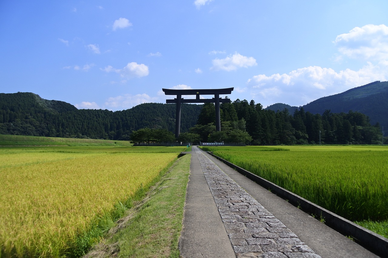 鐵嶺縣熊官屯鄉(xiāng)鳳站養(yǎng)殖場（國營鐵嶺縣熊官屯林場） 全國水族館企業(yè)名錄 第2張