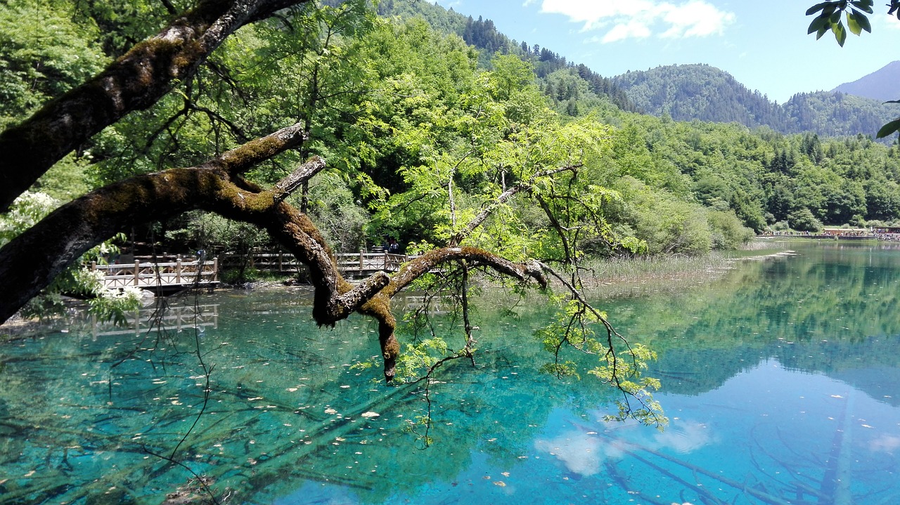 平邑縣五龍湖水產(chǎn)品有限公司（平邑縣五龍湖水產(chǎn)品有限公司企業(yè)規(guī)模）