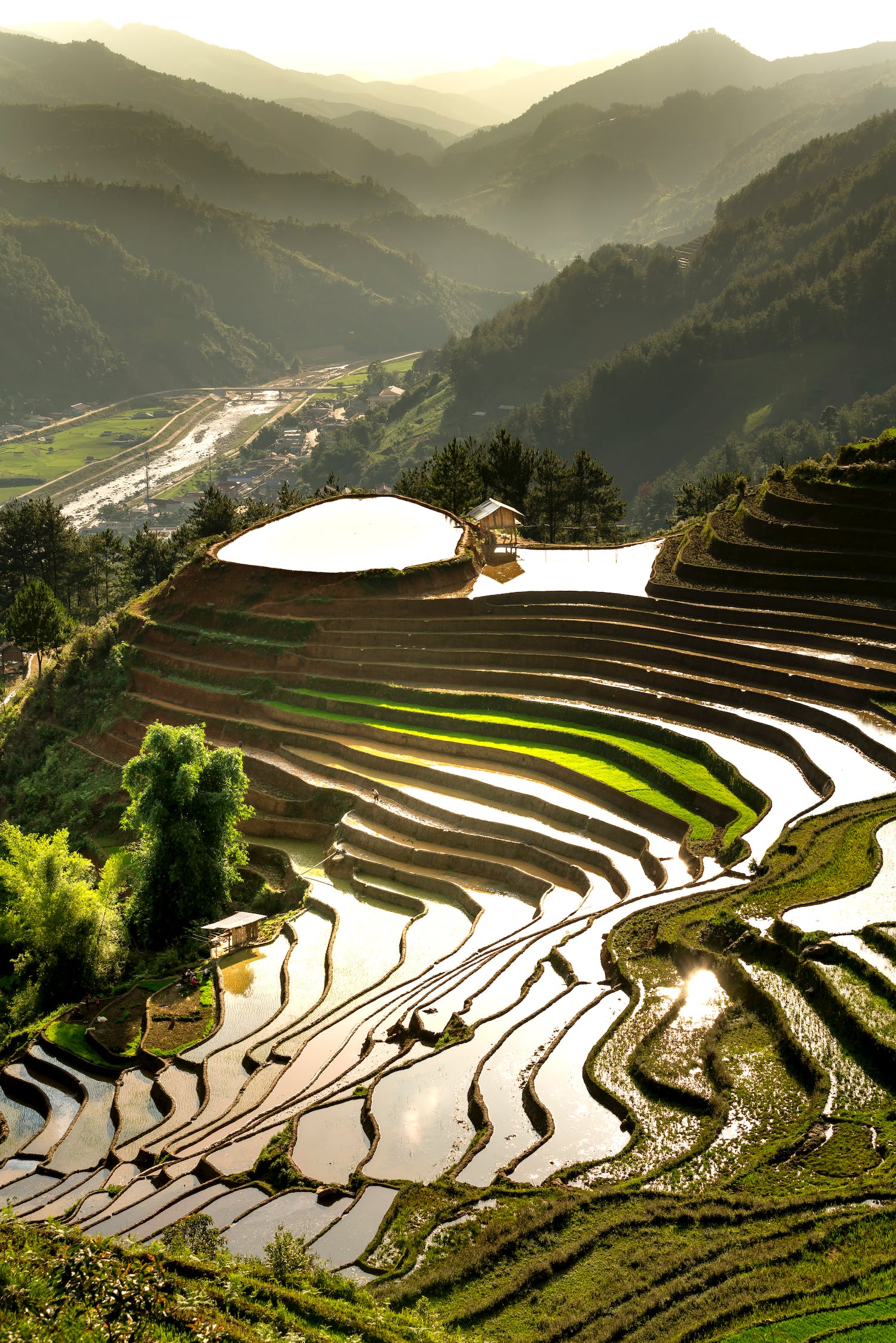 沈陽(yáng)棋盤山開發(fā)區(qū)美嫻花卉苗木種植園（沈陽(yáng)市綠色美景花卉種植基地電話） 全國(guó)水族館企業(yè)名錄 第3張