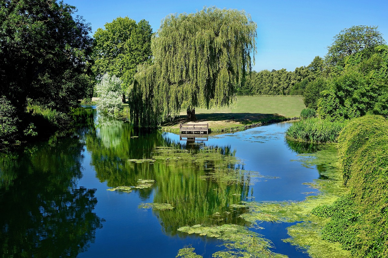 武漢東湖生態(tài)旅游風景區(qū)綠藝陽光園藝經(jīng)營部（武漢東湖生態(tài)旅游風景區(qū)綠藝陽光園藝經(jīng)營部電話）