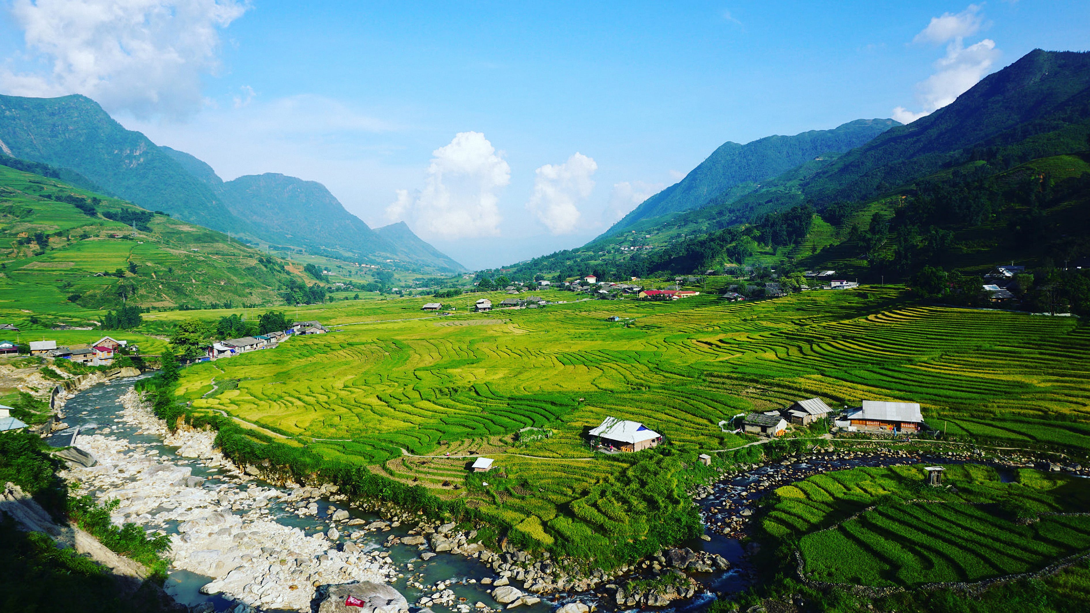 高陵水族批發(fā)市場(chǎng)地址電話（高陵水果蔬菜批發(fā)市場(chǎng)在哪） 則道紅龍