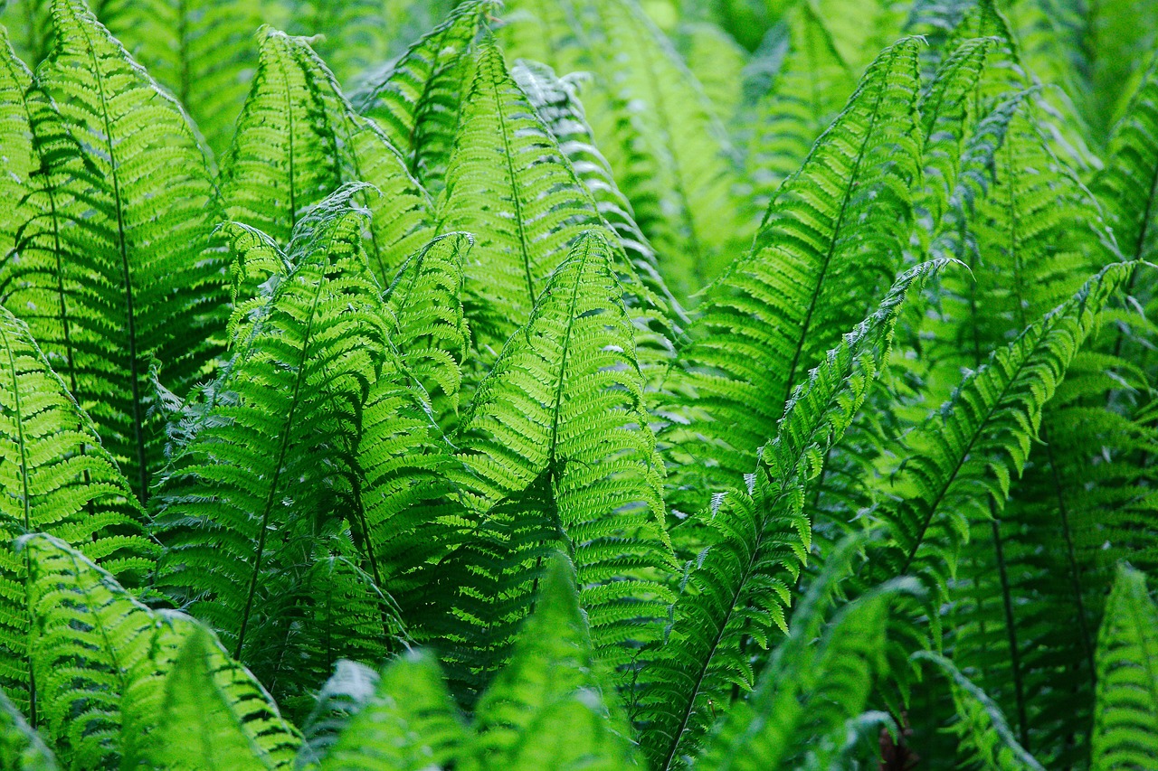 昆明半江經(jīng)貿(mào)公司