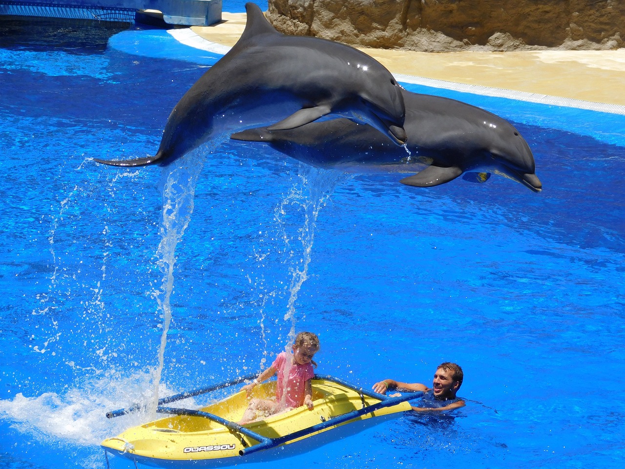 鄭州市惠濟區(qū)和貴水族館