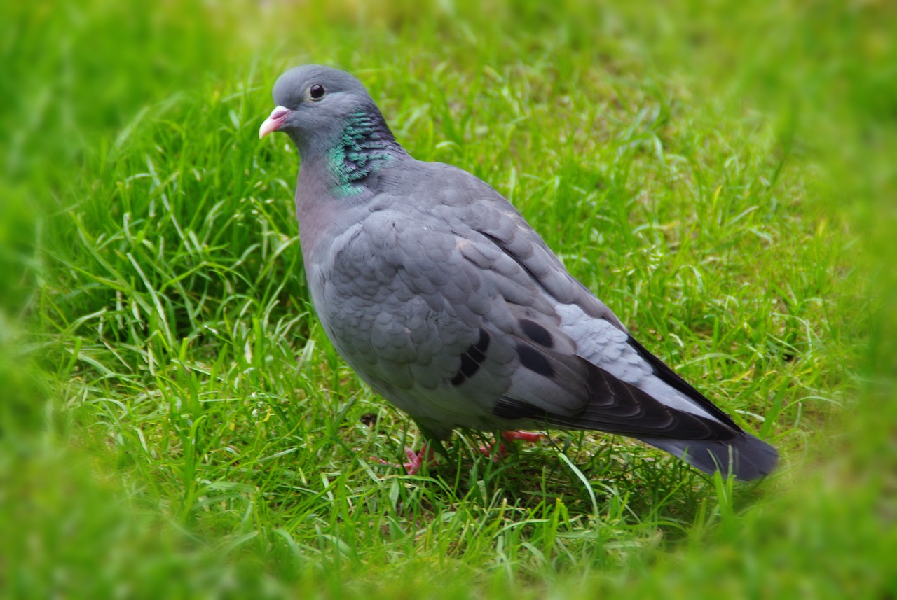 魚(yú)缸開(kāi)裂如何修補(bǔ)好呢：魚(yú)缸開(kāi)裂圖片 觀賞魚(yú)市場(chǎng) 第1張