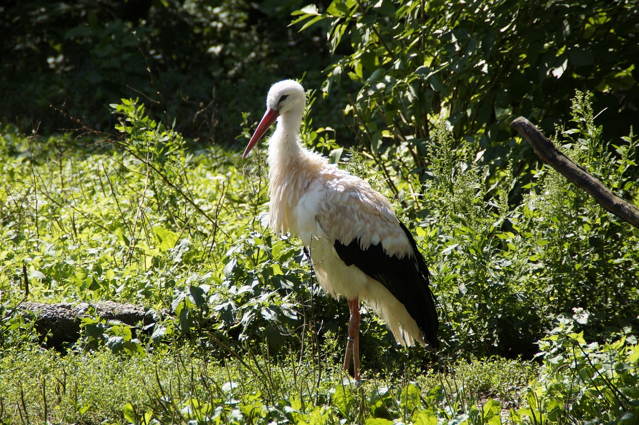 貴陽市烏當區(qū)瞎龍井珍稀水生野生動物馴養(yǎng)繁殖 全國水族館企業(yè)名錄 第1張