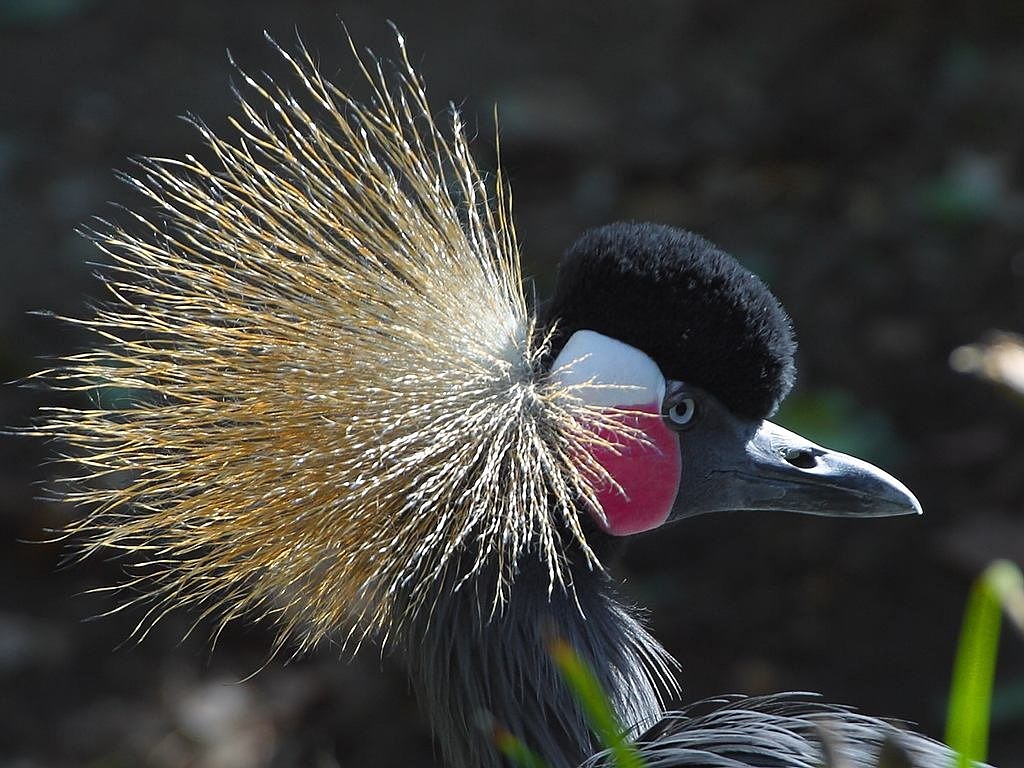 貴陽市烏當區(qū)瞎龍井珍稀水生野生動物馴養(yǎng)繁殖 全國水族館企業(yè)名錄 第4張