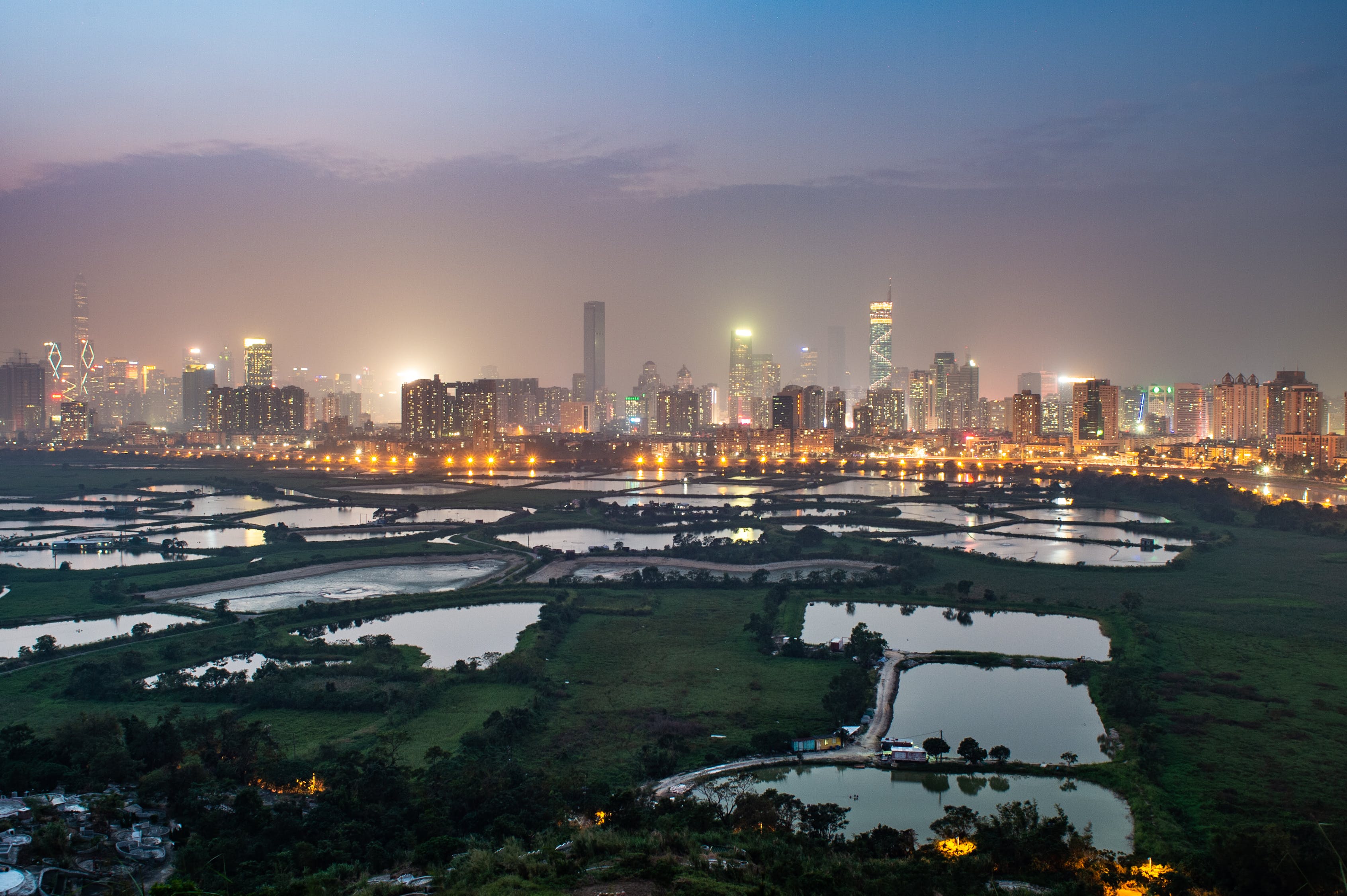 深圳市寶安區(qū)西鄉(xiāng)綠海園藝店 全國(guó)水族館企業(yè)名錄 第1張