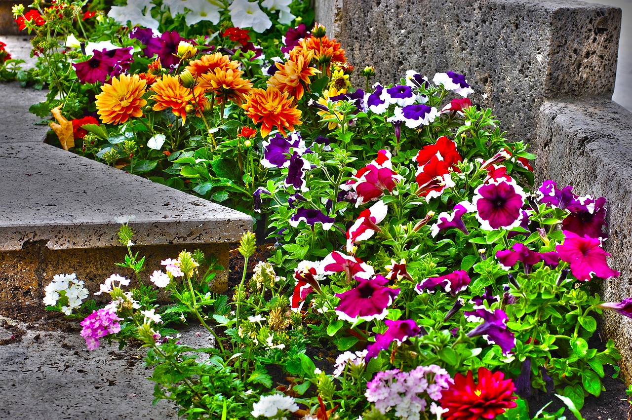 南京市雨花臺區(qū)翔麗園藝中心（南京市翔宇花園）