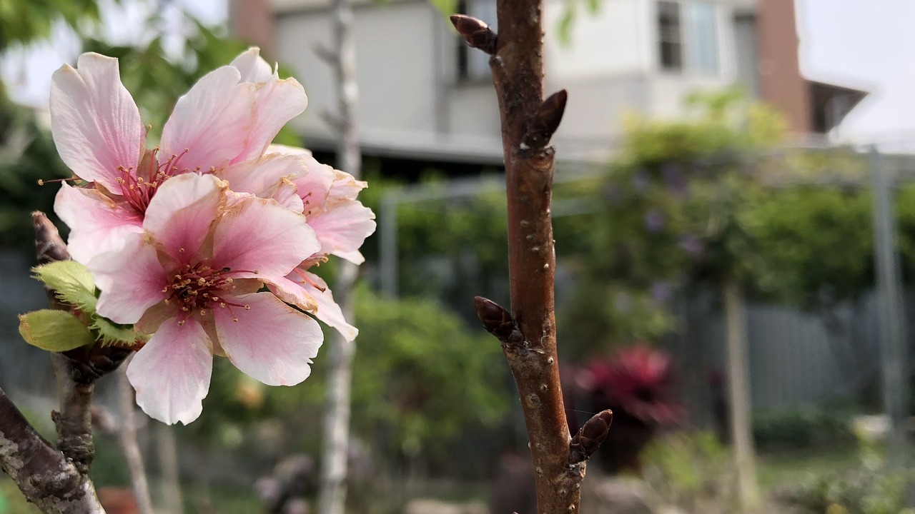 上海大都市鮮花港有限公司（上海大都市鮮花港有限公司招聘）