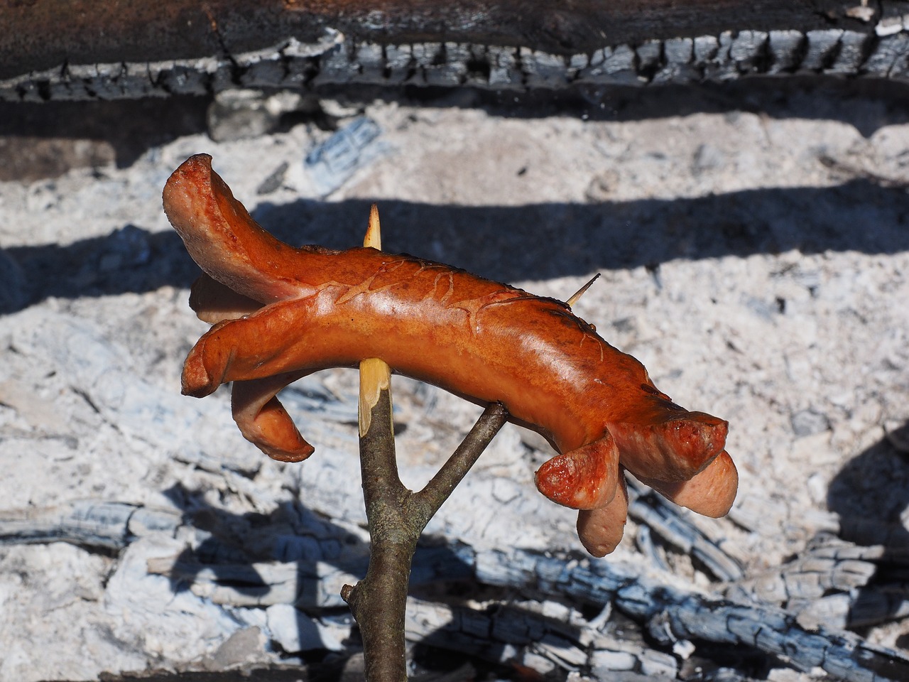 紅綠燈魚能和什么魚混養(yǎng)，紅綠燈魚能和什么魚混養(yǎng)嗎，紅綠燈魚可以和什么魚混養(yǎng) PH調節(jié)劑 第1張