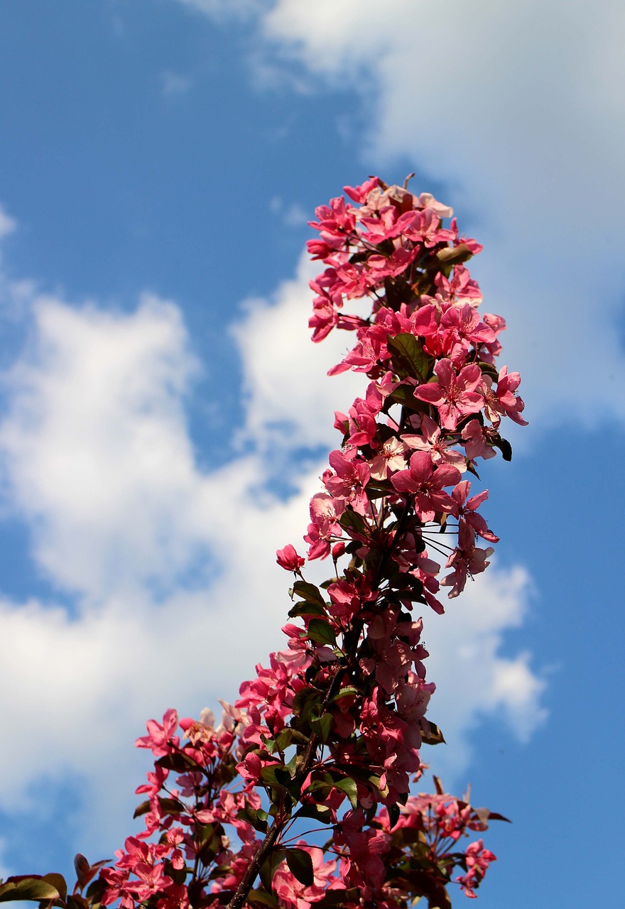 沁陽市聯(lián)盟花卉經(jīng)銷處（沁陽市聯(lián)盟花卉經(jīng)銷處電話） 全國水族館企業(yè)名錄 第1張