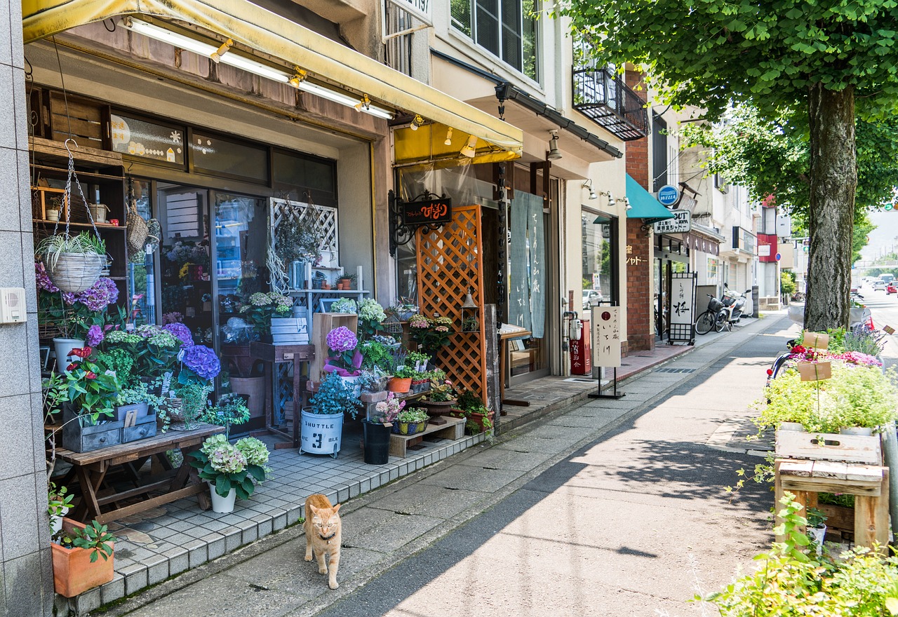 梅河口市銘楊花坊（梅河口花店電話） 全國水族館企業(yè)名錄 第1張