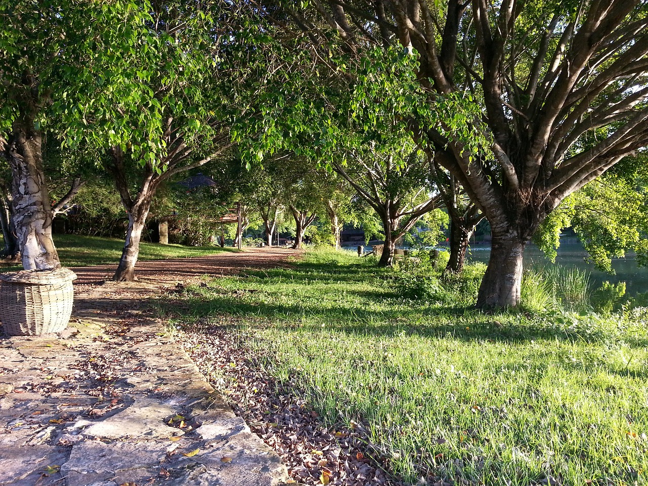 山東濰坊魚缸造景哪家價(jià)格合理，濰坊風(fēng)景魚缸哪家價(jià)格便宜 養(yǎng)魚的好處 第2張