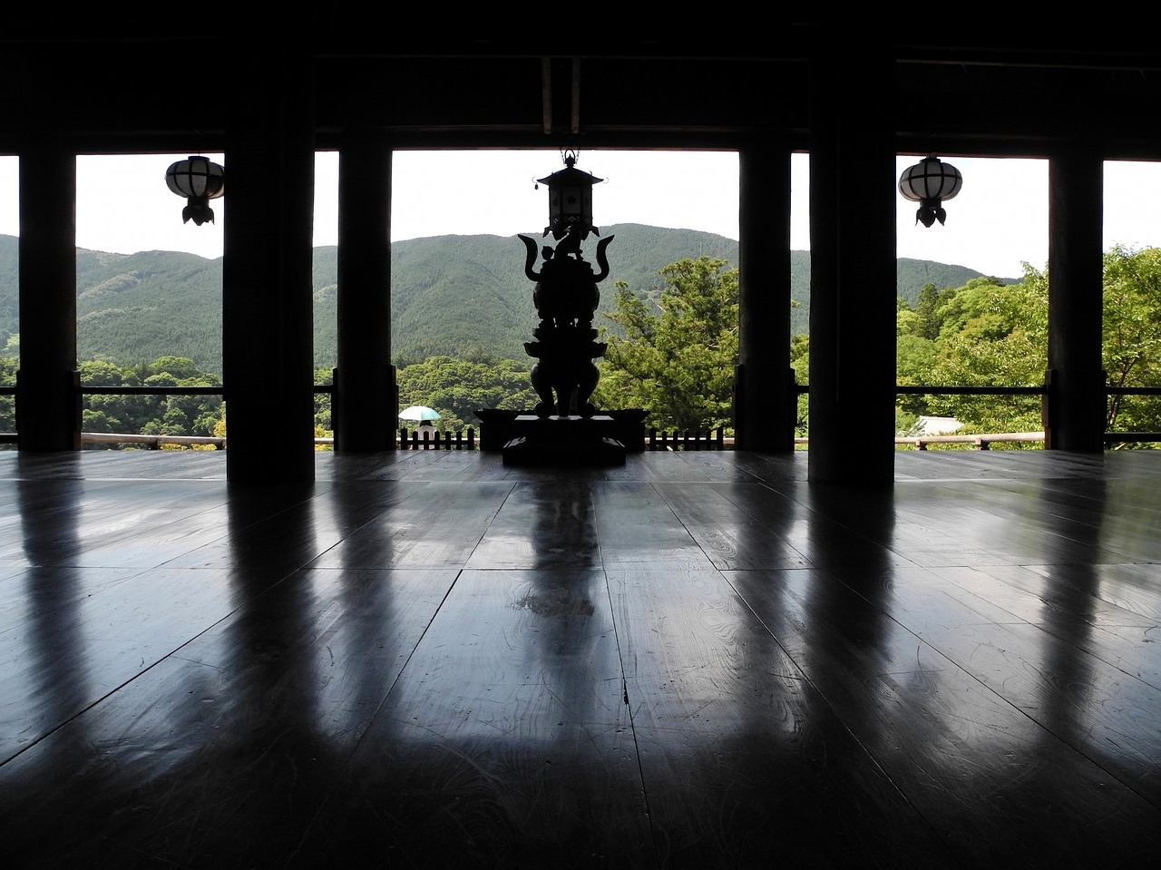 仿真金龍魚機(jī)器人（金魚機(jī)器人有限公司） 稀有金龍魚 第2張