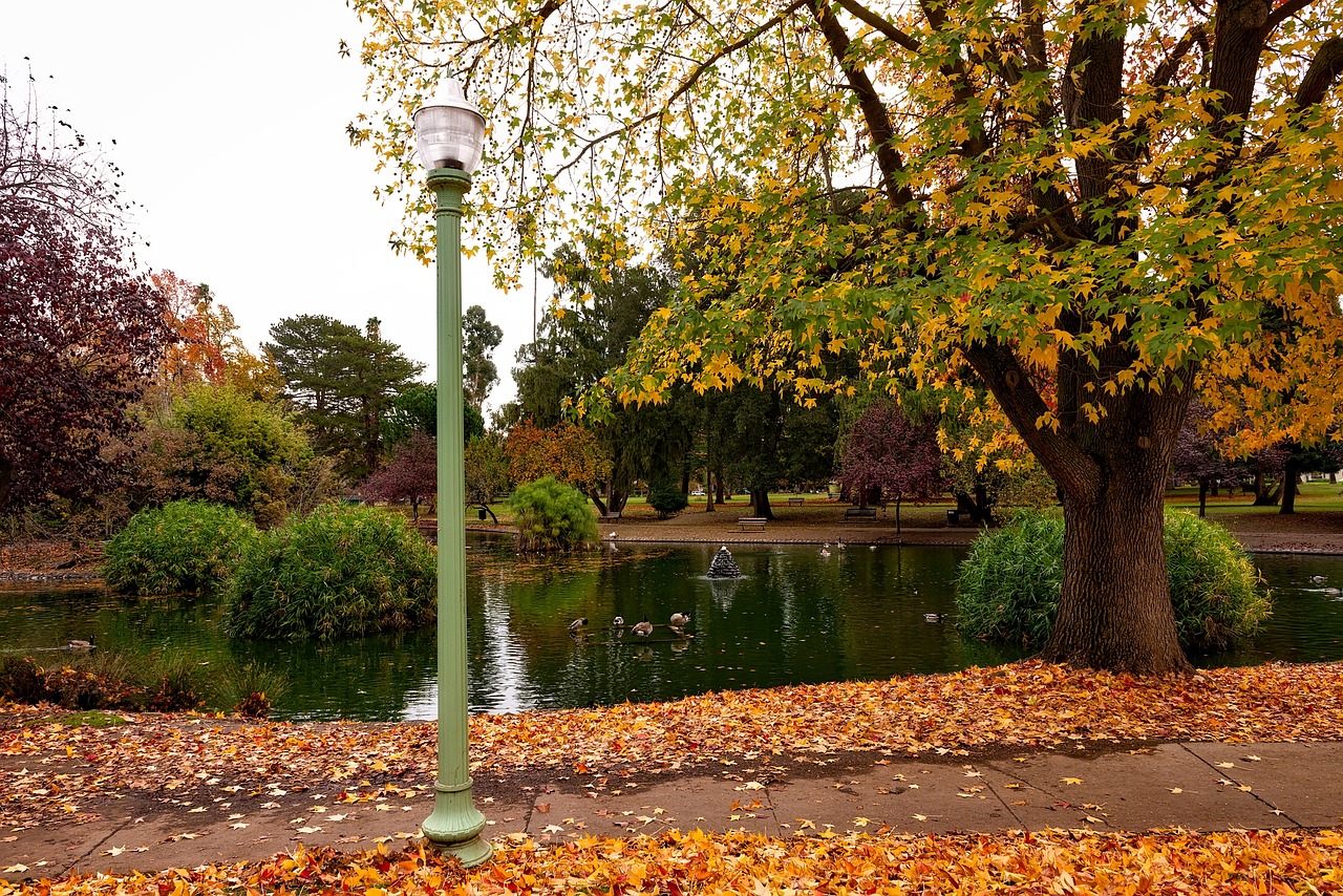 戶外景觀造型（如何打造屬于自己的露臺(tái)花園） 廣州景觀設(shè)計(jì) 第2張