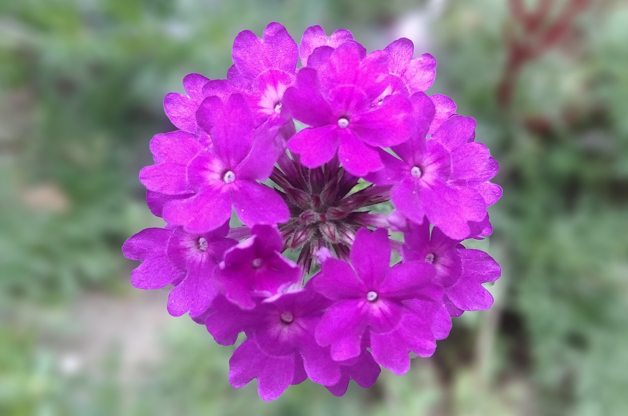 上海市普陀區(qū)芯蕊花藝店 全國(guó)水族館企業(yè)名錄 第2張