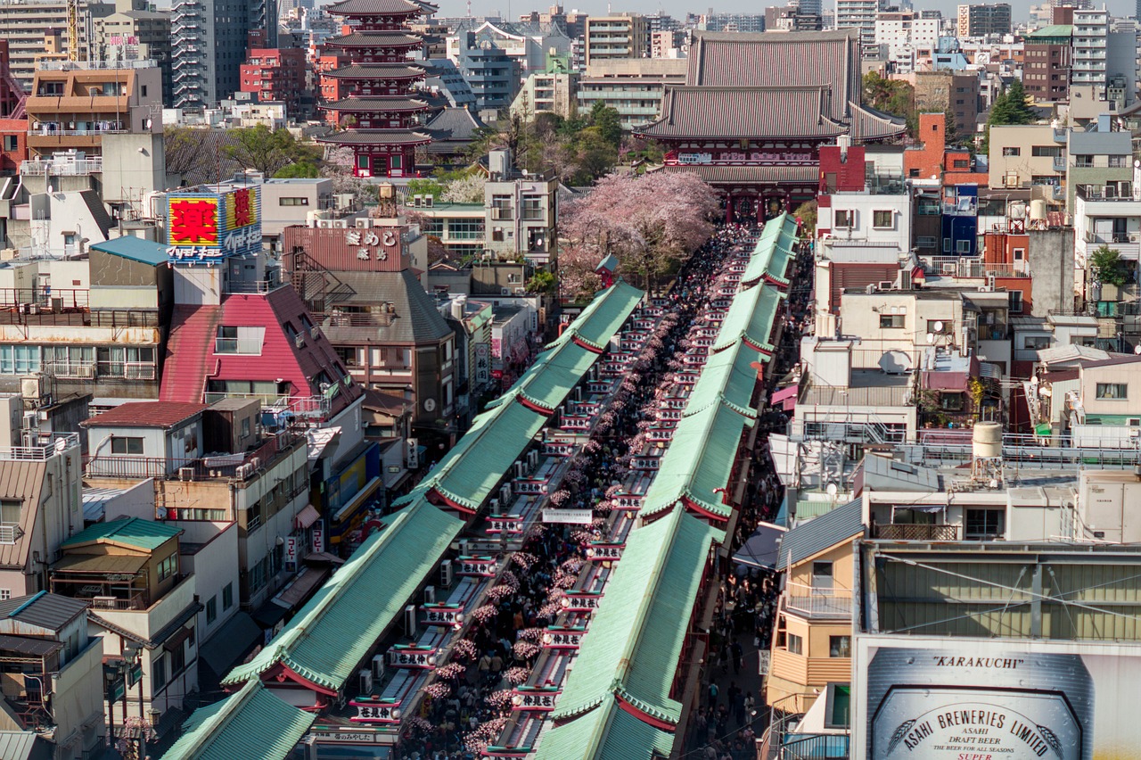 上海市浦東新區(qū)浦興街道萬山紅花卉店 全國水族館企業(yè)名錄 第3張