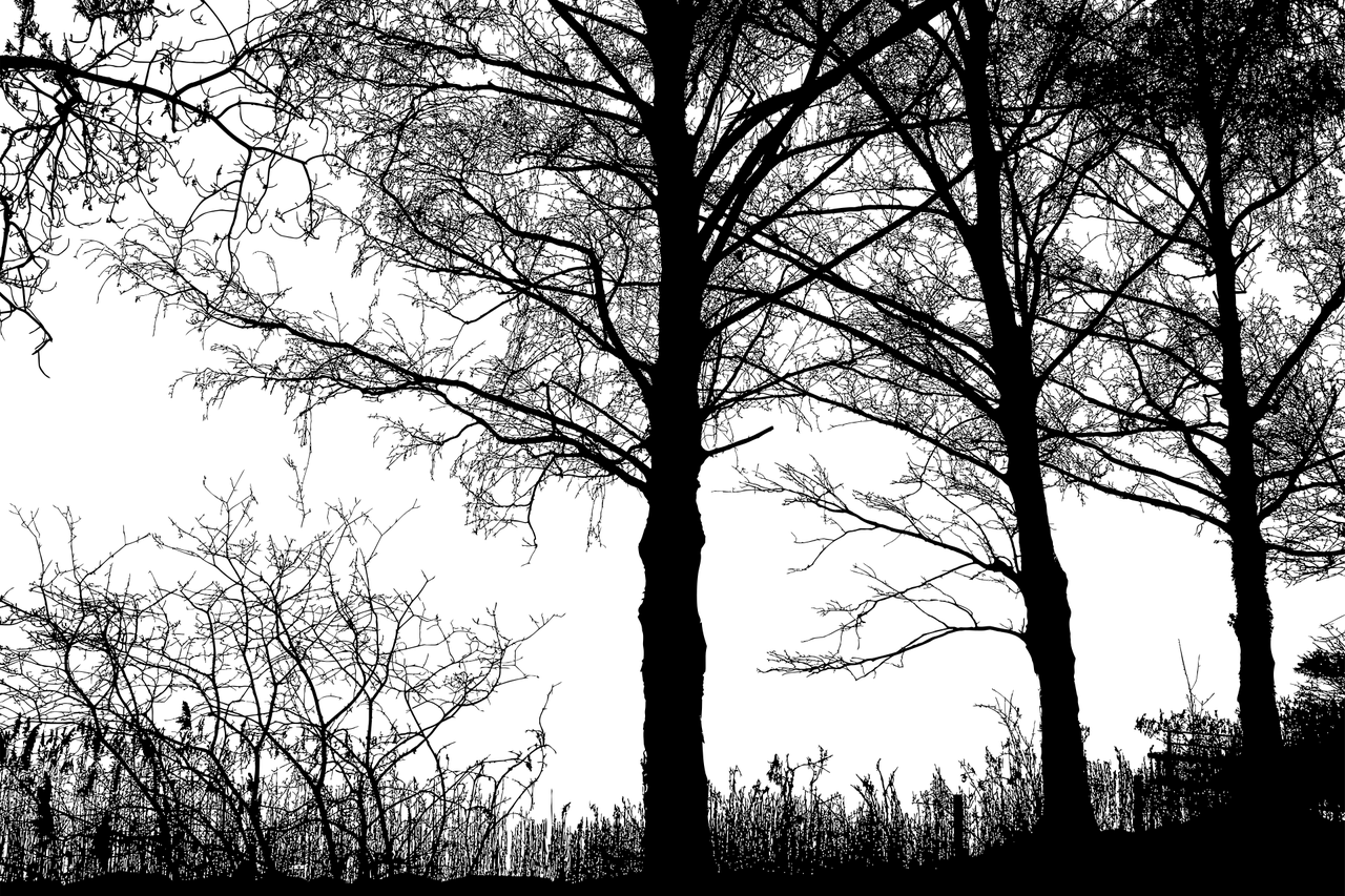 景觀設(shè)計(jì)專業(yè)哪個(gè)學(xué)校比較好（環(huán)境設(shè)計(jì)專業(yè)的考研，不知道考哪所學(xué)校。） 廣州景觀設(shè)計(jì) 第2張