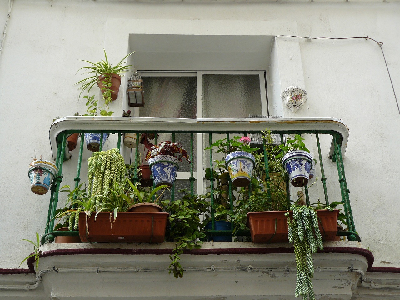 植物墻效果圖手繪（室外墻壁上掛花是什么效果） 廣州景觀設(shè)計 第1張