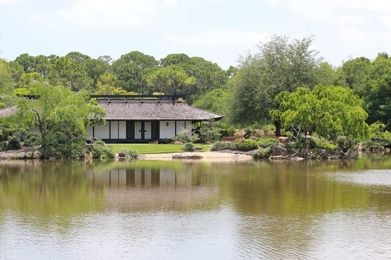 天寶水族魚(yú)缸價(jià)格多少錢(qián)一個(gè) 天寶浴池怎么樣 朱巴利魚(yú)苗