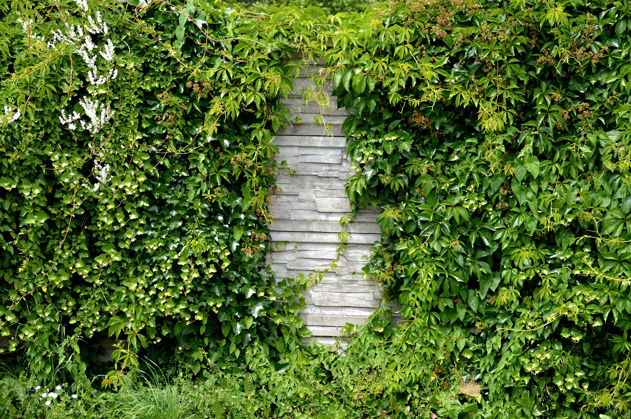 植物墻行業(yè)前景（現(xiàn)在那種室內(nèi)除甲醛的真的有用嗎） 廣州景觀設(shè)計(jì) 第1張