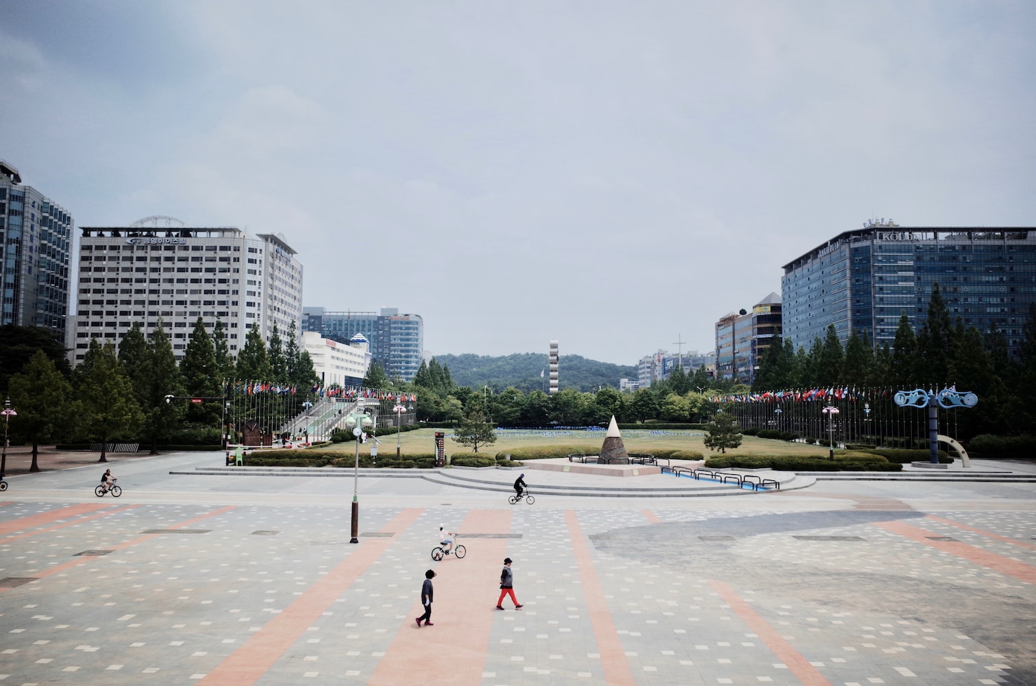 中山市石岐區(qū)水域之森水族器材店 全國水族館企業(yè)名錄 第4張