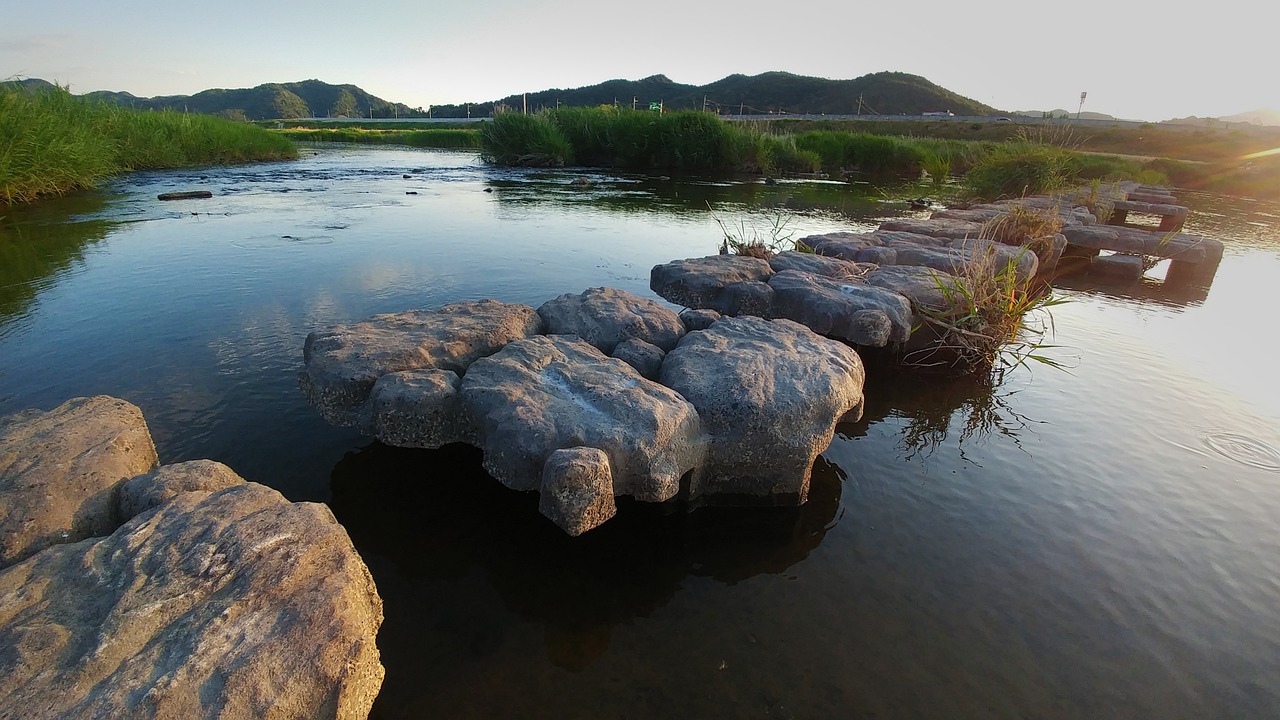 庭院魚池基礎(chǔ)怎么做（溪流魚池做法） 廣州景觀設(shè)計 第2張