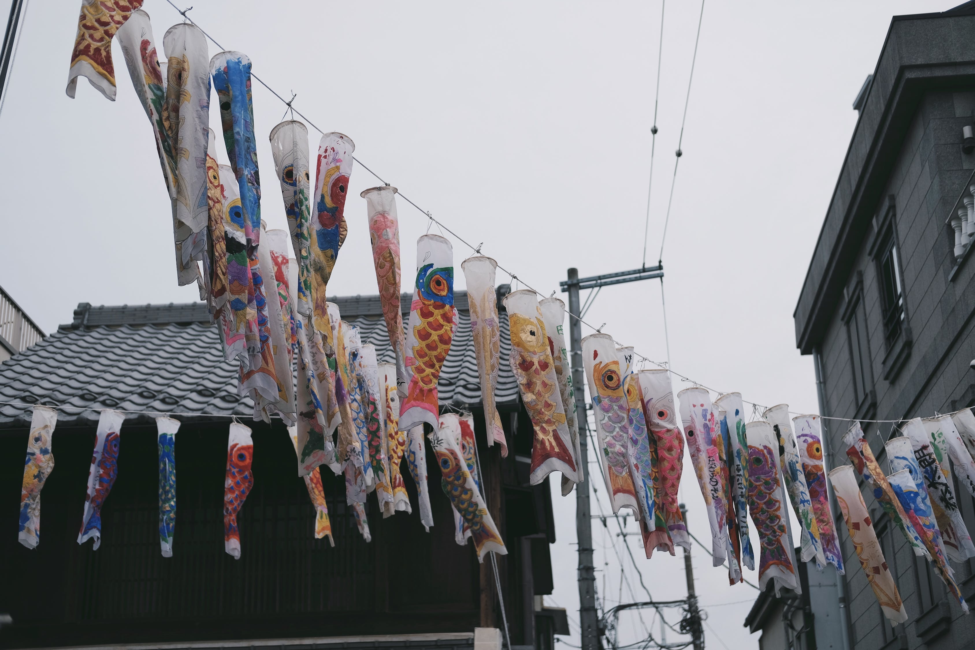 天山區(qū)新華南路金鋼觀魚店