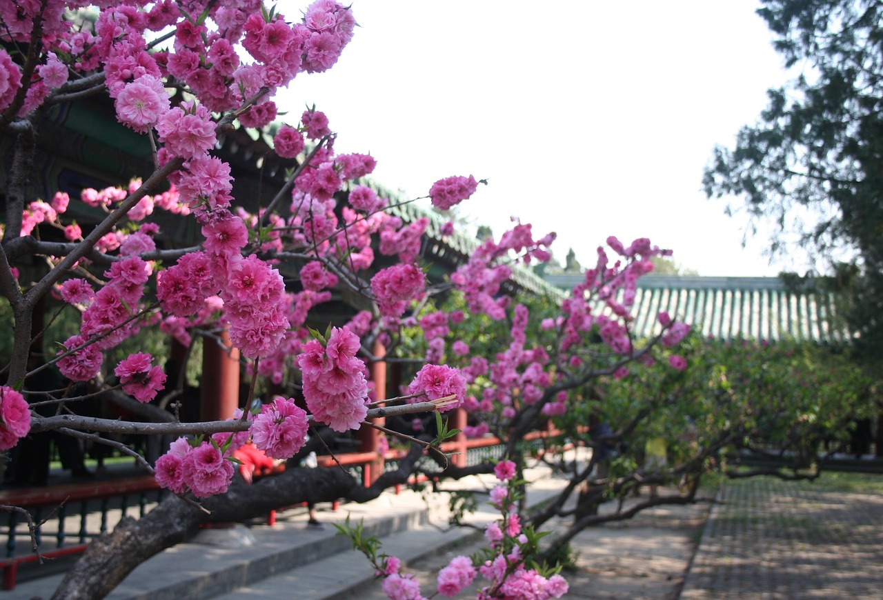 東川區(qū)開花洋芋休閑吧濕地公園店 全國水族館企業(yè)名錄 第3張