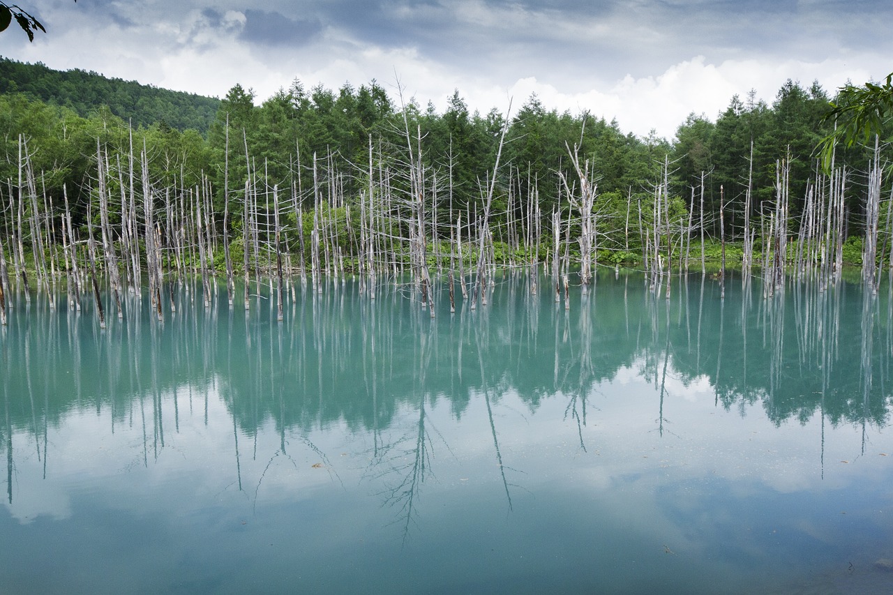 廣州魚池假山設(shè)計(jì)公司有哪些（廣州園林景觀設(shè)計(jì)公司哪家好） 廣州景觀設(shè)計(jì) 第2張