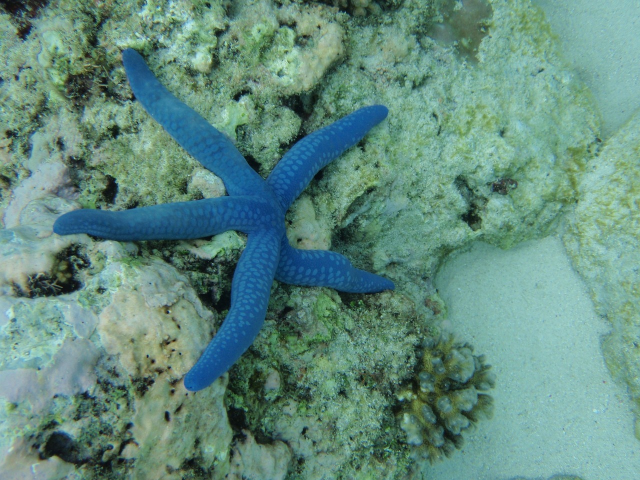 安康水族館這是要變身？？？