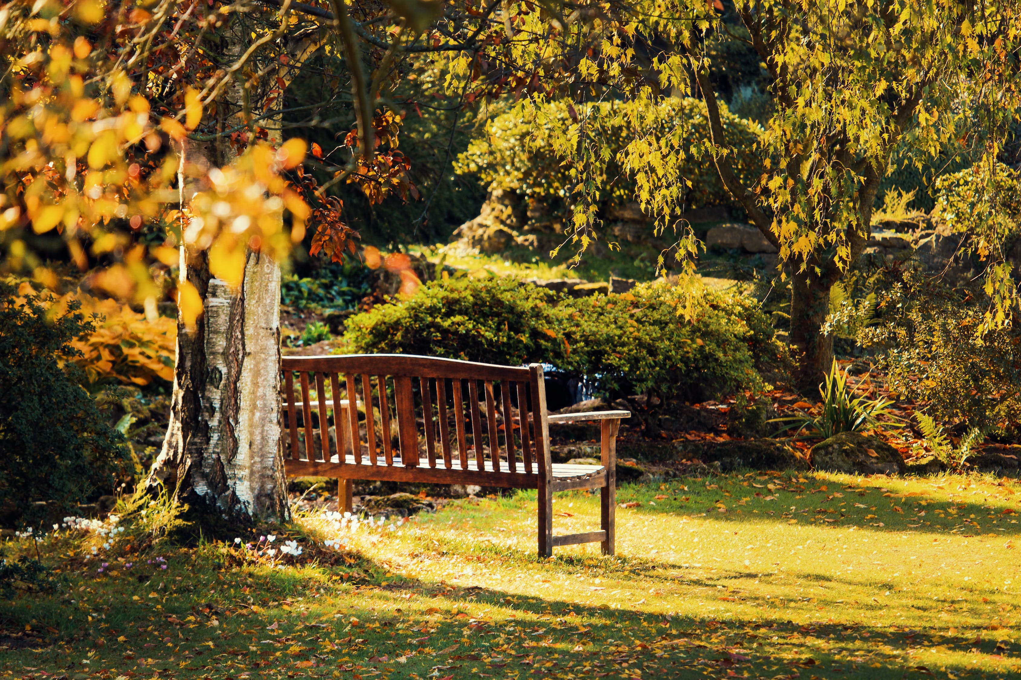 小區(qū)園林景觀實(shí)景圖（別墅房屋私家花園景觀效果圖） 廣州景觀設(shè)計 第2張