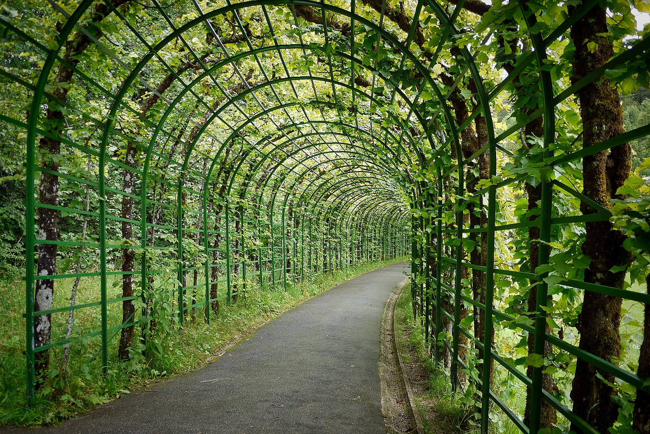 小區(qū)園林景觀實(shí)景圖（別墅房屋私家花園景觀效果圖） 廣州景觀設(shè)計 第3張