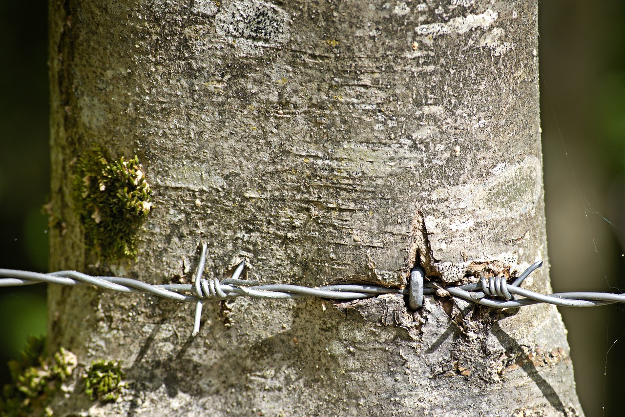 原生態(tài)石頭魚(yú)缸造景（一米深的魚(yú)缸如何造景） 廣州景觀設(shè)計(jì) 第1張