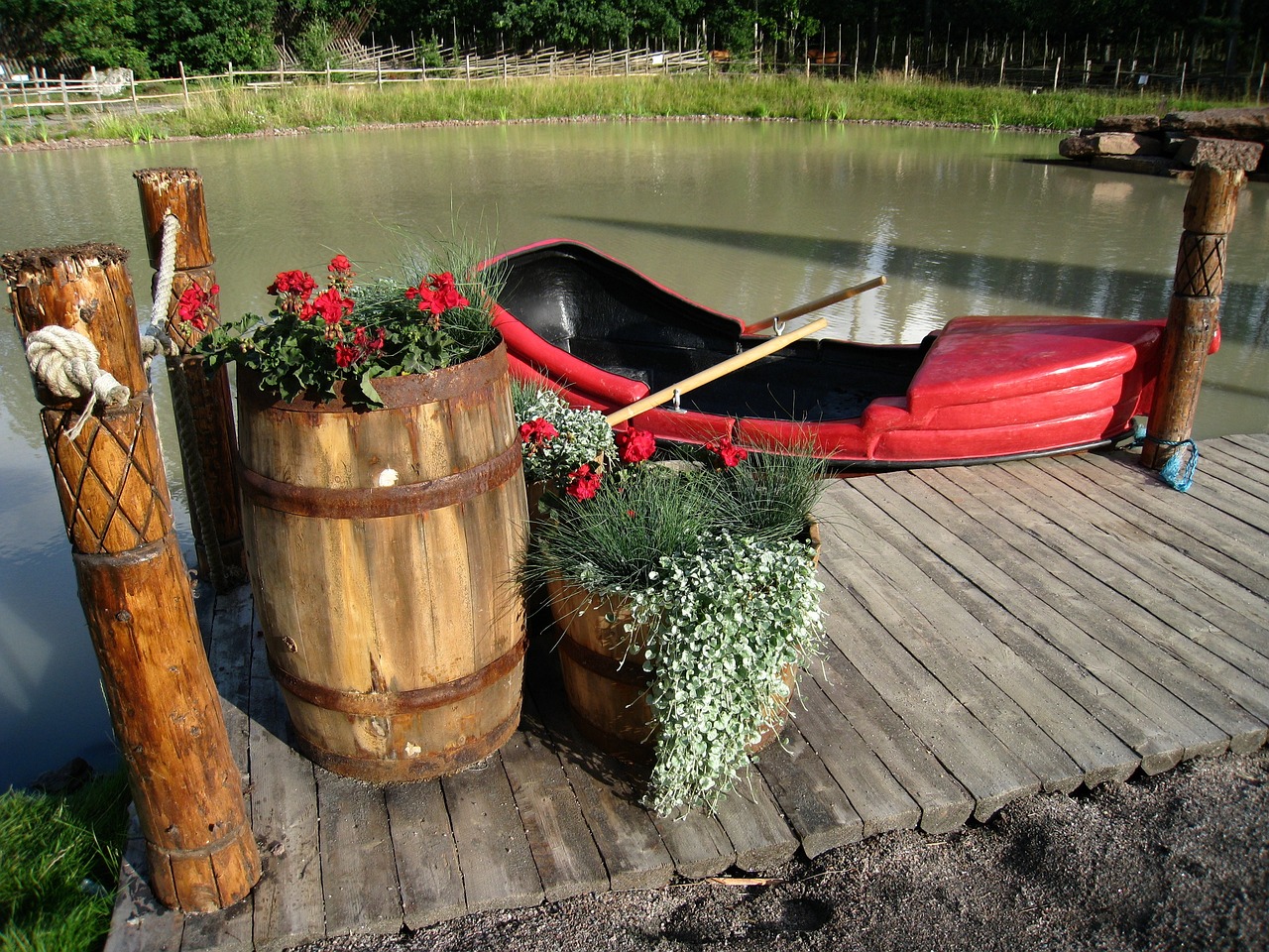 魚(yú)缸過(guò)濾桶需要清洗嗎(如何清洗濾桶魚(yú)缸) 元寶鳳凰魚(yú)專用魚(yú)糧 第2張